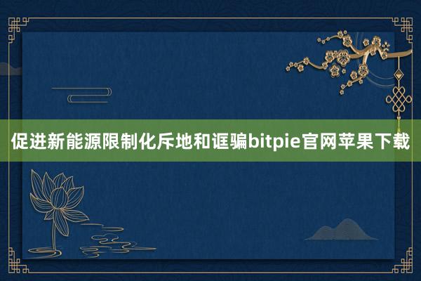 促进新能源限制化斥地和诓骗bitpie官网苹果下载