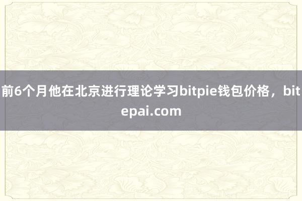 前6个月他在北京进行理论学习bitpie钱包价格，bitepai.com