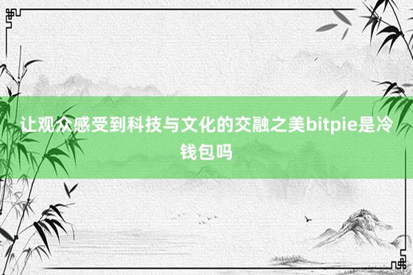 让观众感受到科技与文化的交融之美bitpie是冷钱包吗