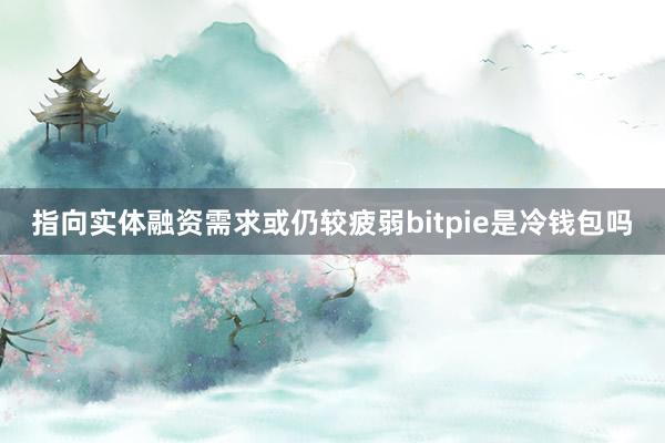 指向实体融资需求或仍较疲弱bitpie是冷钱包吗