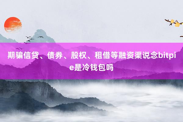 期骗信贷、债券、股权、租借等融资渠说念bitpie是冷钱包吗