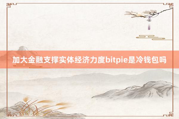 加大金融支撑实体经济力度bitpie是冷钱包吗