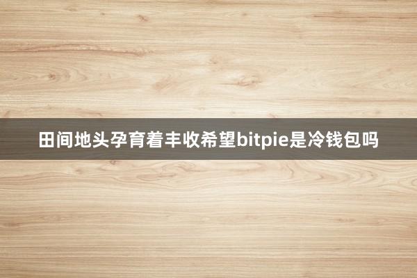 田间地头孕育着丰收希望bitpie是冷钱包吗