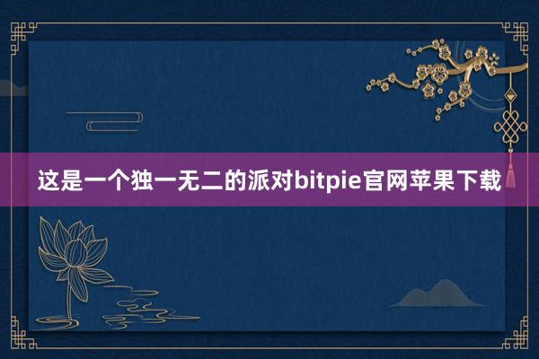 这是一个独一无二的派对bitpie官网苹果下载