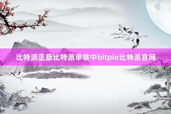 比特派正版比特派审核中bitpie比特派官网