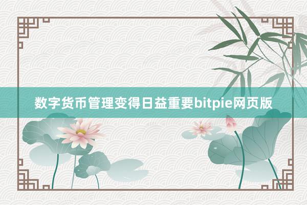 数字货币管理变得日益重要bitpie网页版