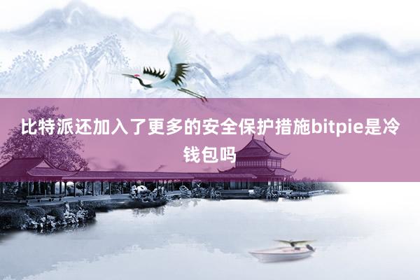 比特派还加入了更多的安全保护措施bitpie是冷钱包吗