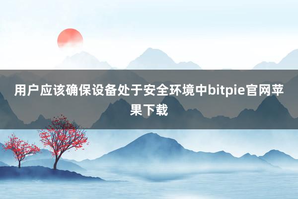 用户应该确保设备处于安全环境中bitpie官网苹果下载