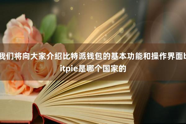 我们将向大家介绍比特派钱包的基本功能和操作界面bitpie是哪个国家的