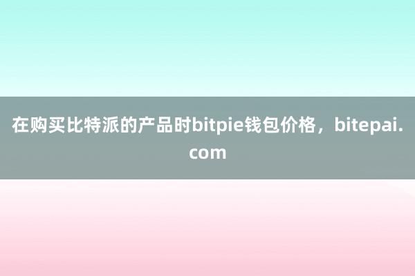 在购买比特派的产品时bitpie钱包价格，bitepai.com