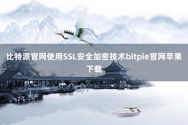 比特派官网使用SSL安全加密技术bitpie官网苹果下载