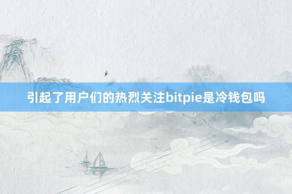 引起了用户们的热烈关注bitpie是冷钱包吗