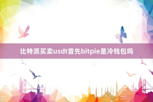 比特派买卖usdt首先bitpie是冷钱包吗