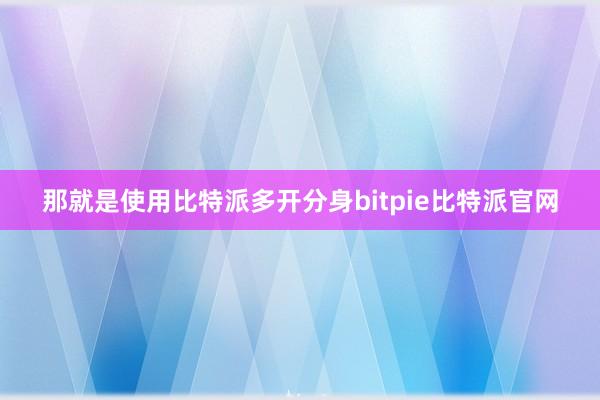 那就是使用比特派多开分身bitpie比特派官网