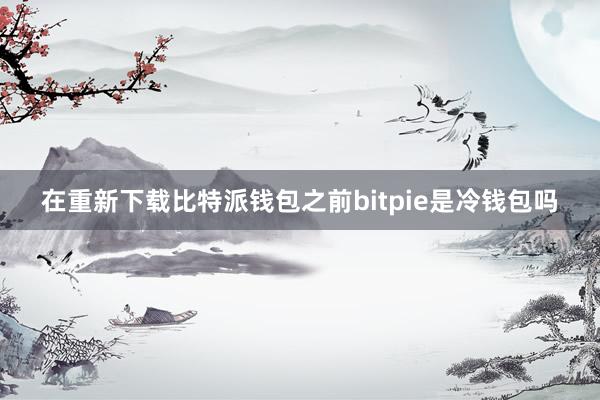 在重新下载比特派钱包之前bitpie是冷钱包吗