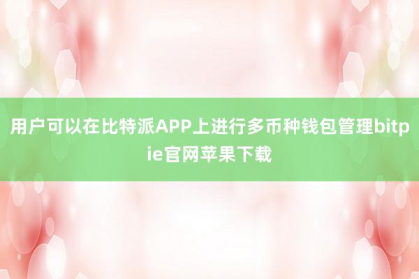 用户可以在比特派APP上进行多币种钱包管理bitpie官网苹果下载