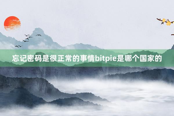 忘记密码是很正常的事情bitpie是哪个国家的