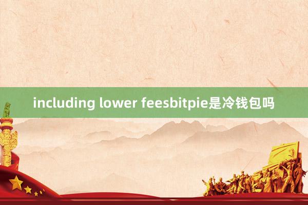 including lower feesbitpie是冷钱包吗