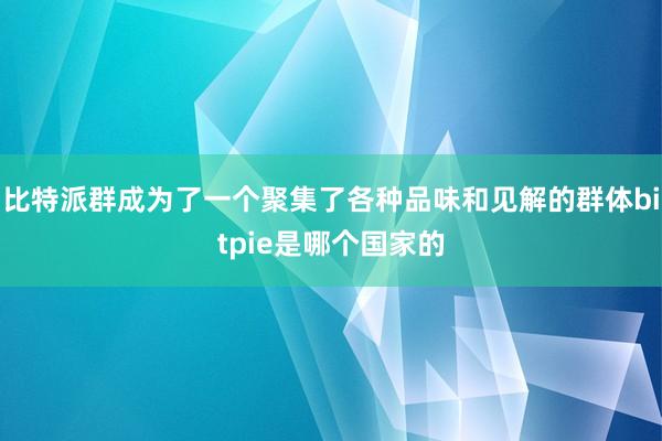 比特派群成为了一个聚集了各种品味和见解的群体bitpie是哪个国家的