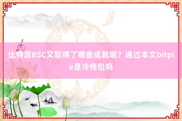 比特派BSC又取得了哪些成就呢？通过本文bitpie是冷钱包吗