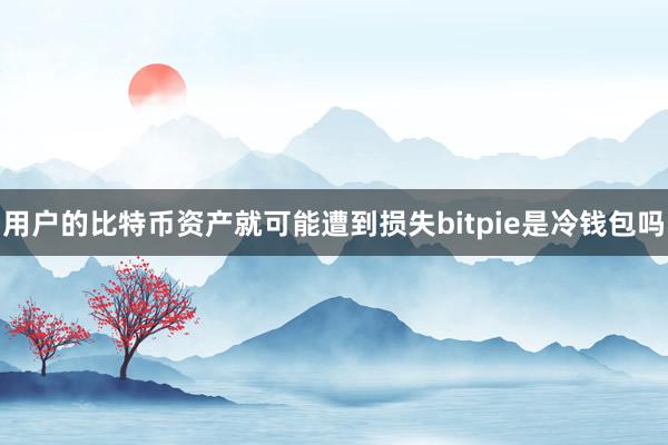 用户的比特币资产就可能遭到损失bitpie是冷钱包吗