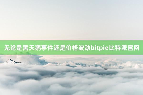 无论是黑天鹅事件还是价格波动bitpie比特派官网