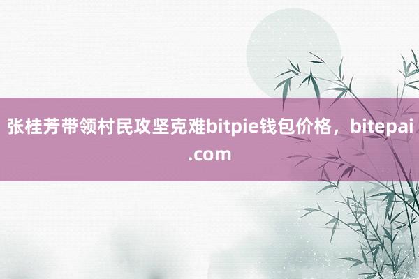 张桂芳带领村民攻坚克难bitpie钱包价格，bitepai.com