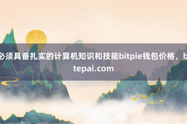 必须具备扎实的计算机知识和技能bitpie钱包价格，bitepai.com