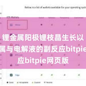 锂金属阳极锂枝晶生长以及锂金属与电解液的副反应bitpie网页版