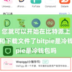 您就可以开始在比特派上分享和下载文件了bitpie是冷钱包吗