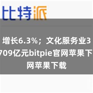 增长6.3%；文化服务业34709亿元bitpie官网苹果下载