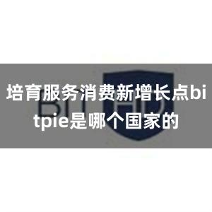 培育服务消费新增长点bitpie是哪个国家的