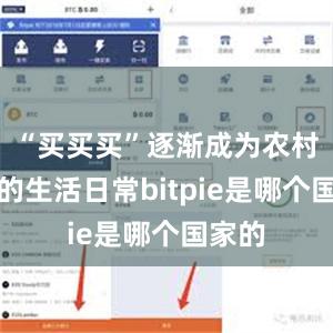 “买买买”逐渐成为农村居民的生活日常bitpie是哪个国家的