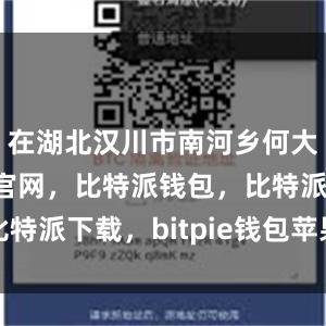 在湖北汉川市南河乡何大村比特派官网，比特派钱包，比特派下载，bitpie钱包苹果下载