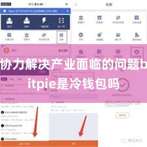 协力解决产业面临的问题bitpie是冷钱包吗