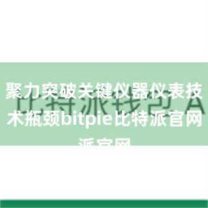 聚力突破关键仪器仪表技术瓶颈bitpie比特派官网